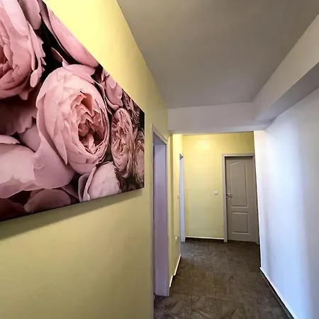 Apartment Lovely 2-bedroom Unit In